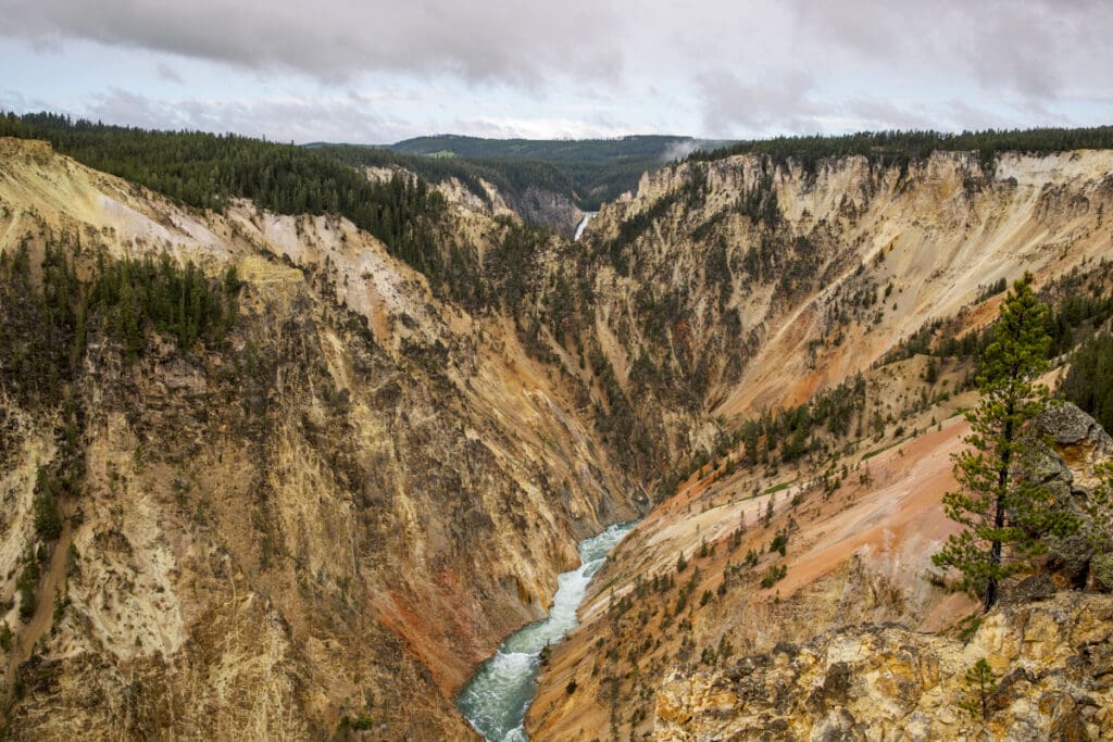 how to avoid crowds in yellowstone