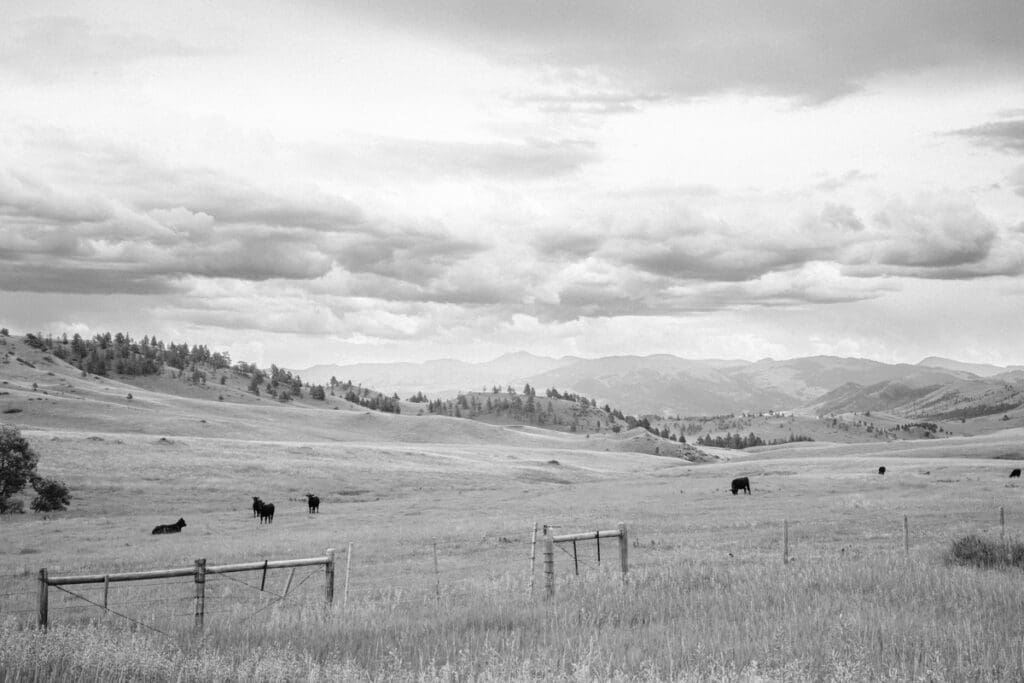 black and white western landscape