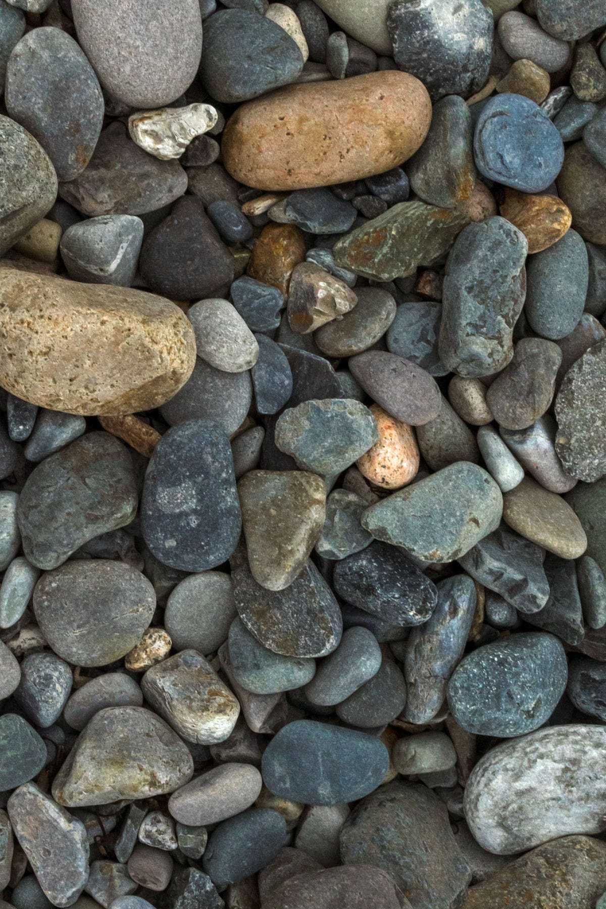 solo female traveler camping on maine beach