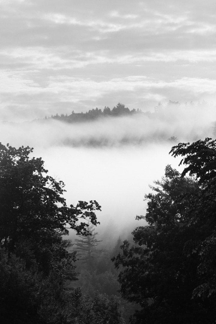 foggy morning in vermont - landscape photographer