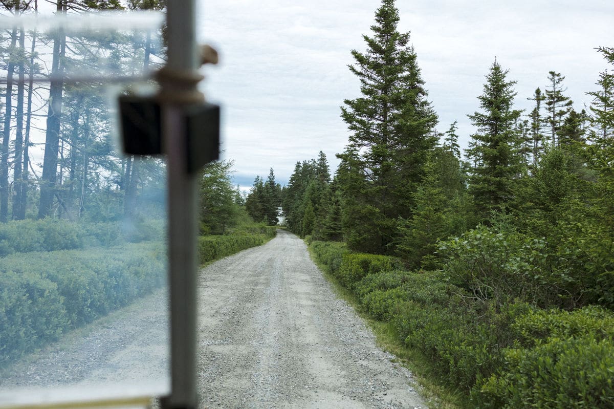 golf cart tour at unique hipcamp listing in maine by philadelphia rental photographer