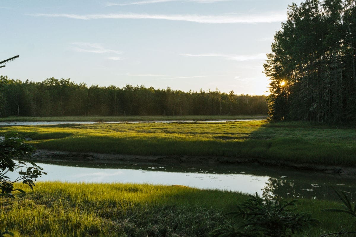 salt and oak farm - cabin rental in maine