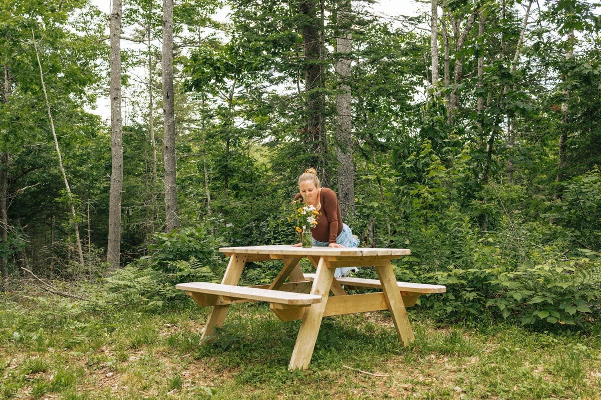 unique rental cabin in maine