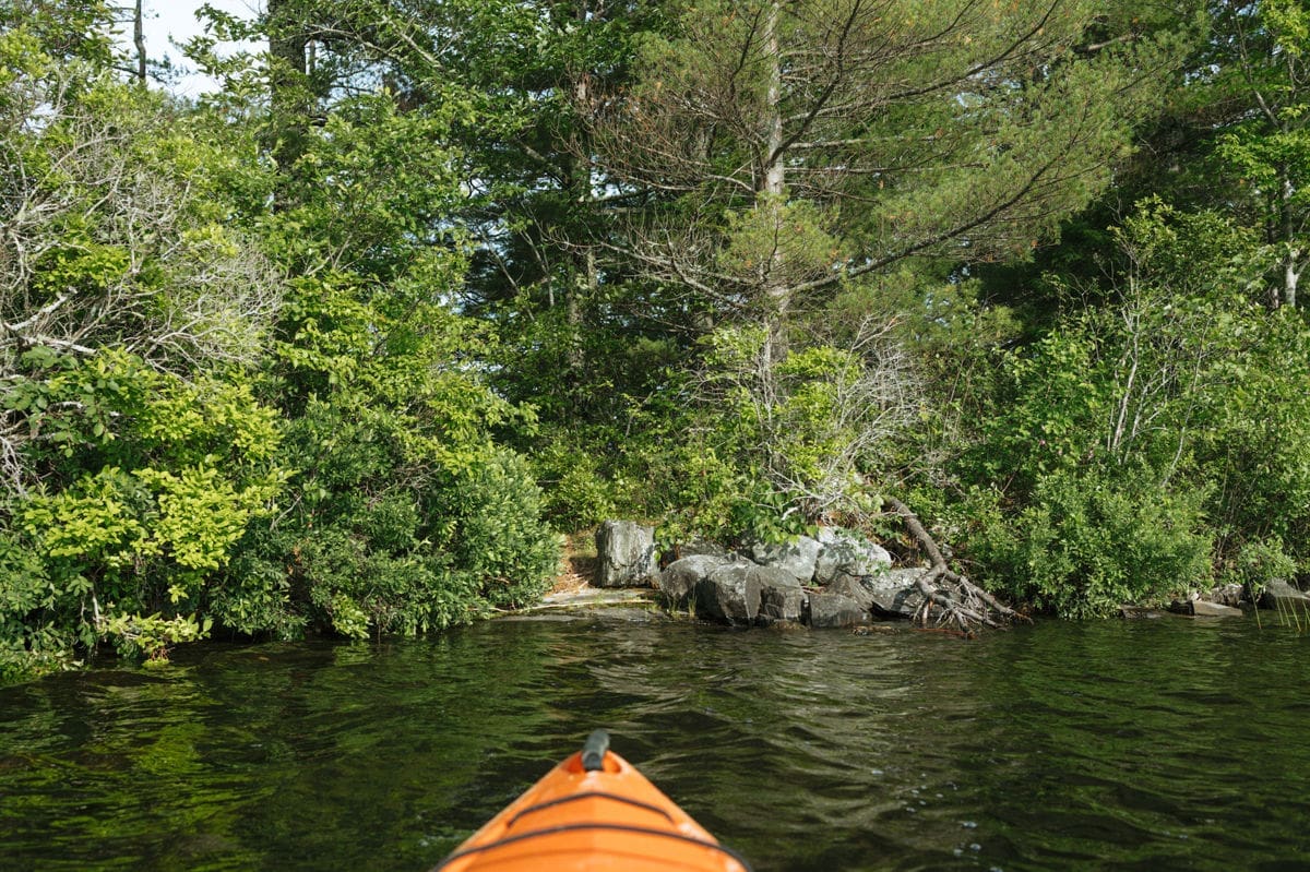 cabin rental with private island in maine